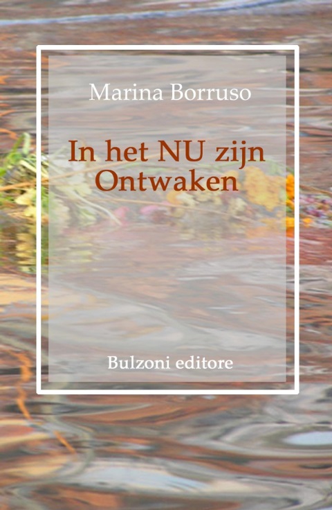 In het Nu zijn ontwaken 350x380